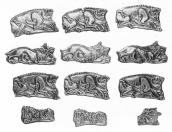 Загальний вигляд