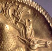 Голова оленя