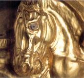 Голова коня