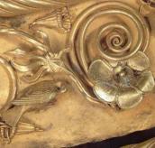 Птах і розетка (21)