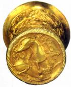 Вигляд зверху