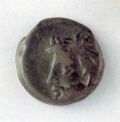 Монета Борисфена