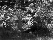 1992 р. Загальний вигляд церквища