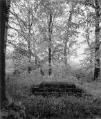 Церква Непорочного зачаття діви Марії