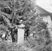 Пам’ятник М.Т.Рильському