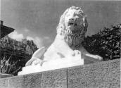Скульптура лева біля входу