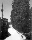 Загальний вигляд