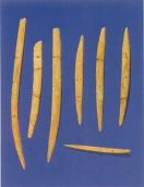 Місцезнаходження палеолітичне