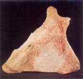 Загальний вигляд