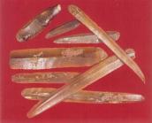 Ножеподібні платівки