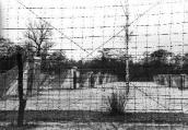1943 р. Вид табору крізь огорожу
