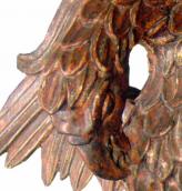 Голова пеліканя