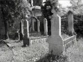 2013 р. Могили (2)