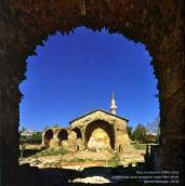 2014 р. Вид на мечеть Узбека з півдня