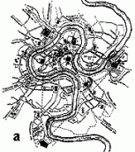 а) Кашин (Росія)