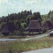 Фрагмент зони “Карпати”