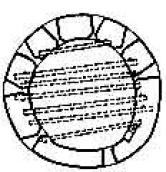 Гончарська башта. Дослідження гнізд…