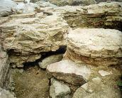 Експозиційна ділянка. Центральний…