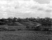 Краєвид с.Підгайчиків з боку Зборова