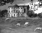 1968 р. Загальний вигляд