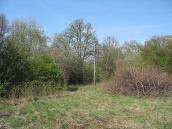 2007 р. Загальний вигляд хреста