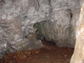 2007 р. Вид ніші