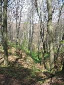 2007 р. Краєвид біля джерела