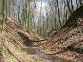 2007 р. Струмок