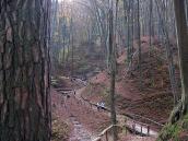 2008 р. Перспектива дороги і джерела