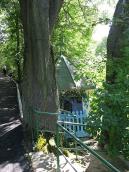 2006 р. Загальний вигляд