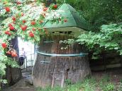 Каплиця св. Онуфрія