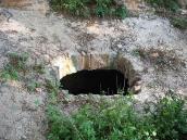 2006 р. Пролом склепіння крипти