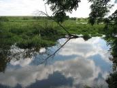 Краєвид біля с. Ракобовти