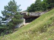 2006 р. Загальний вигляд