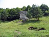 2006 р. Вигляд суцільної стіни