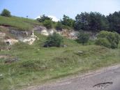 2006 р. Скелі з печерними спорудами