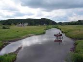 2014 р. Річка Золота Липа