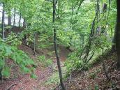 2007 р. Вал та рів городища