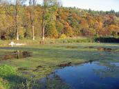 Ставок. Вигляд з північного заходу (2)