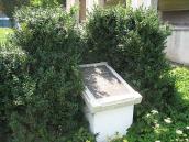 Меморіальна дошка М. Шашкевича