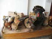 Опудала – мисливські трофеї