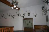 Фрагмент інтер’єра з мисливськими…