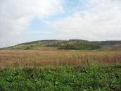 2006 р. Панорама Білої гори із…