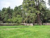 2006 р. Фрагмент двора з криницею