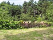 2011 р. Плетінь із горщиками