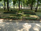 Фрагмент парку