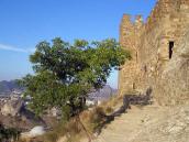 2004 р. Вигляд з південного заходу, з…