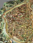 Загальні види