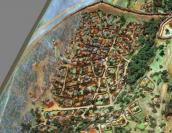 Загальні види