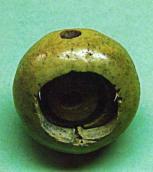 Двоскладний ґудзик